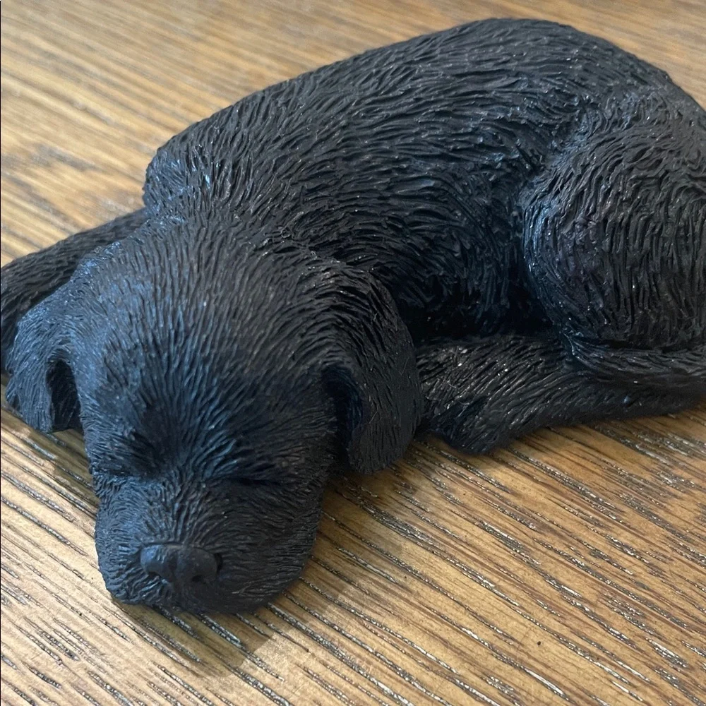Stanley Black Dog in Braided Basket